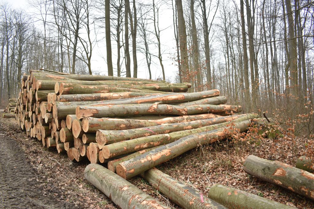 Addressing Climate Injustice: Emissions and&nbsp;Responsibility